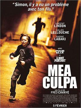过失 Mea culpa  