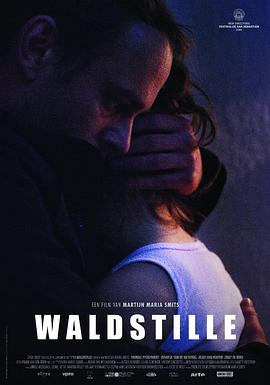 意外 Waldstille  
