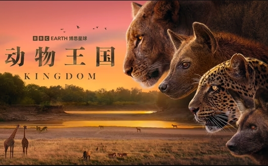 动物王国