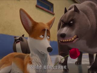 女王的柯基（原声版）