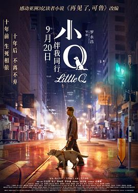 小Q  