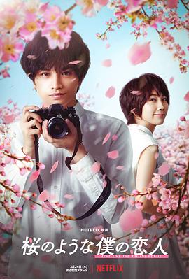 我的樱花恋人 桜のような僕の恋人  