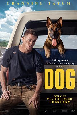 忠犬 Dog  